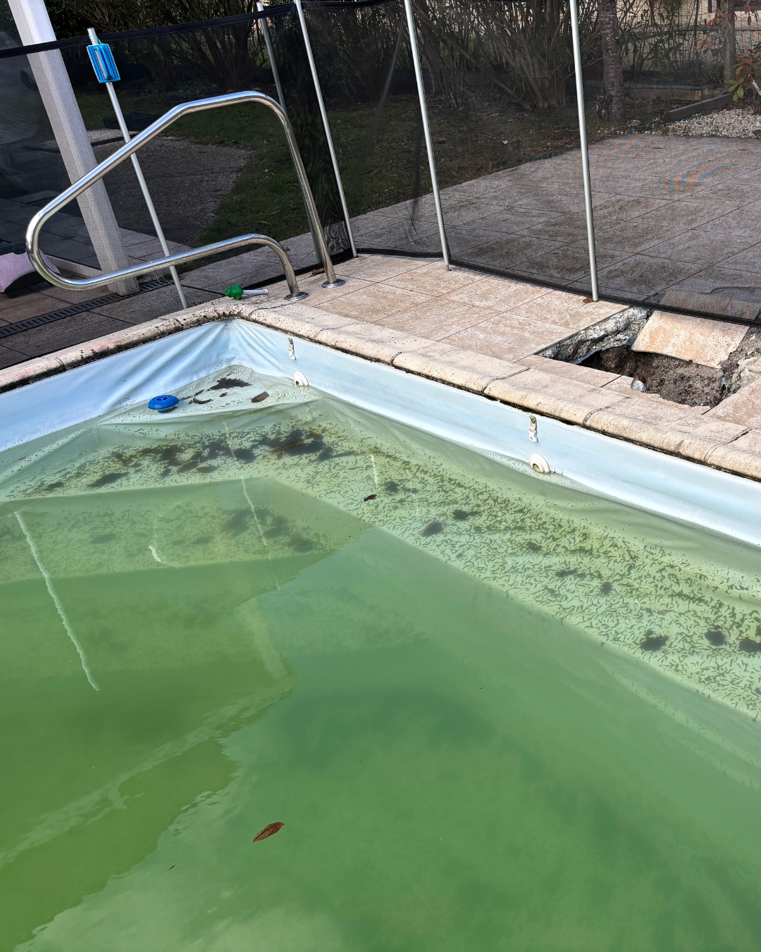 Quand changer son liner ? Quand changer son liner ?