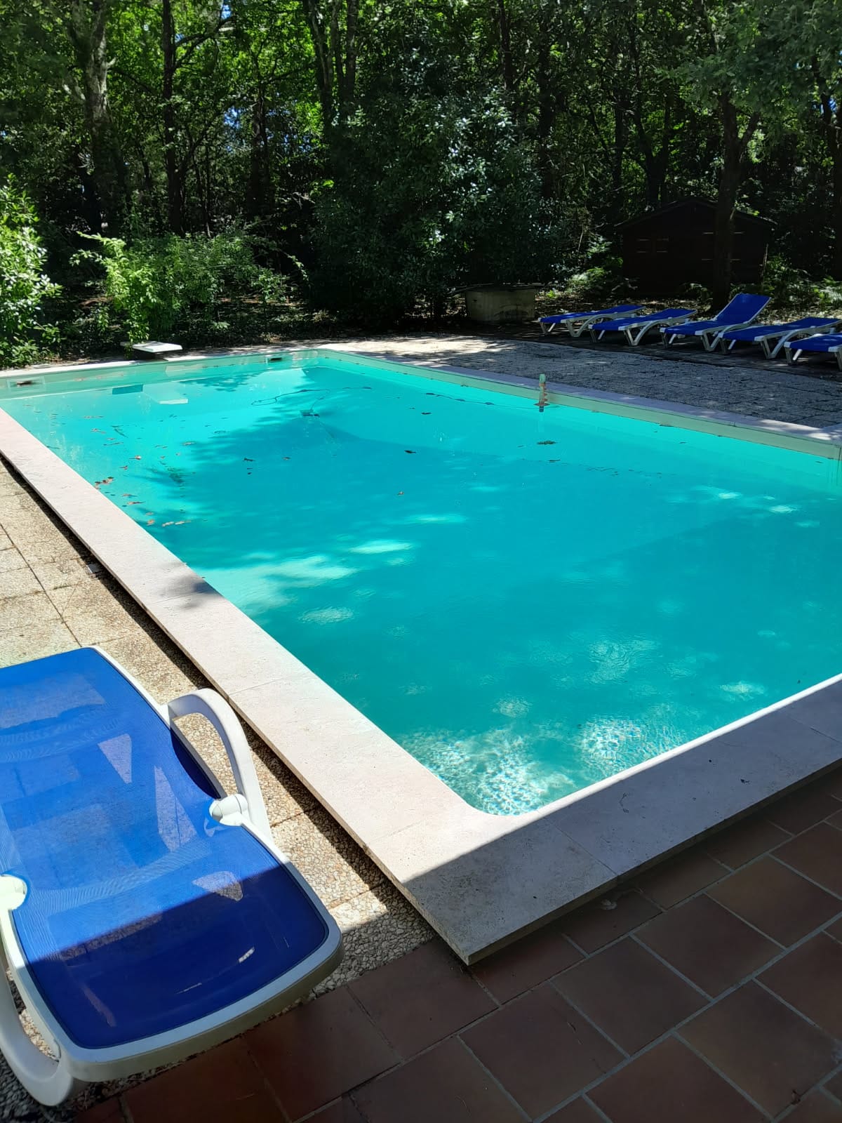 Vider sa piscine en été 2 Vider sa piscine en été 2