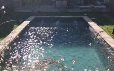 Rénovation piscine Bordeaux