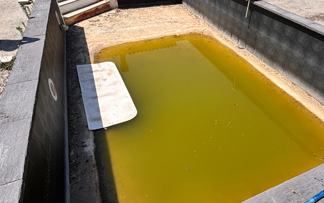 Rénovation complète piscine à Arcins