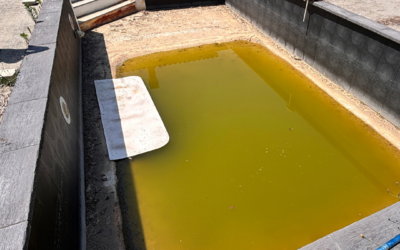 Rénovation complète piscine à Arcins