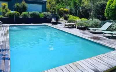 Piscine verte, mission réussie