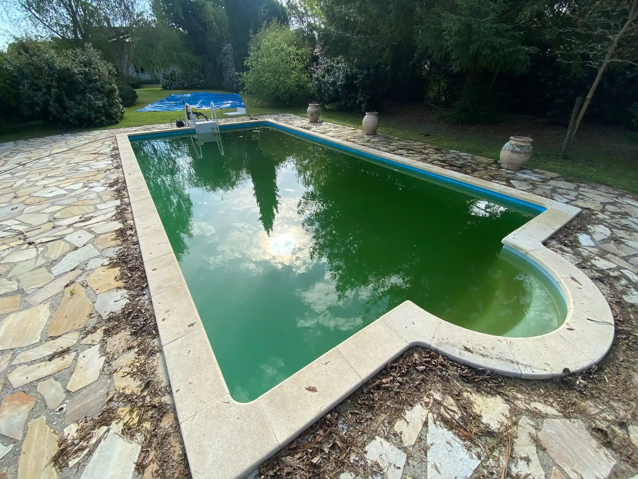 Eau limpide retrouvée
