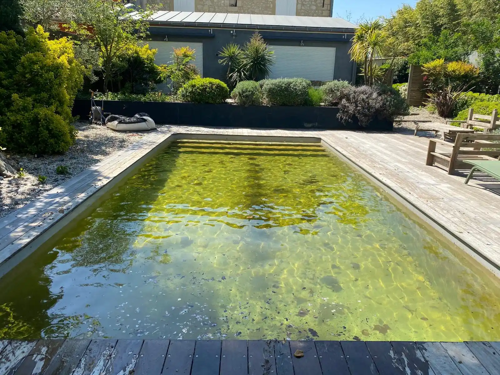 piscine verte