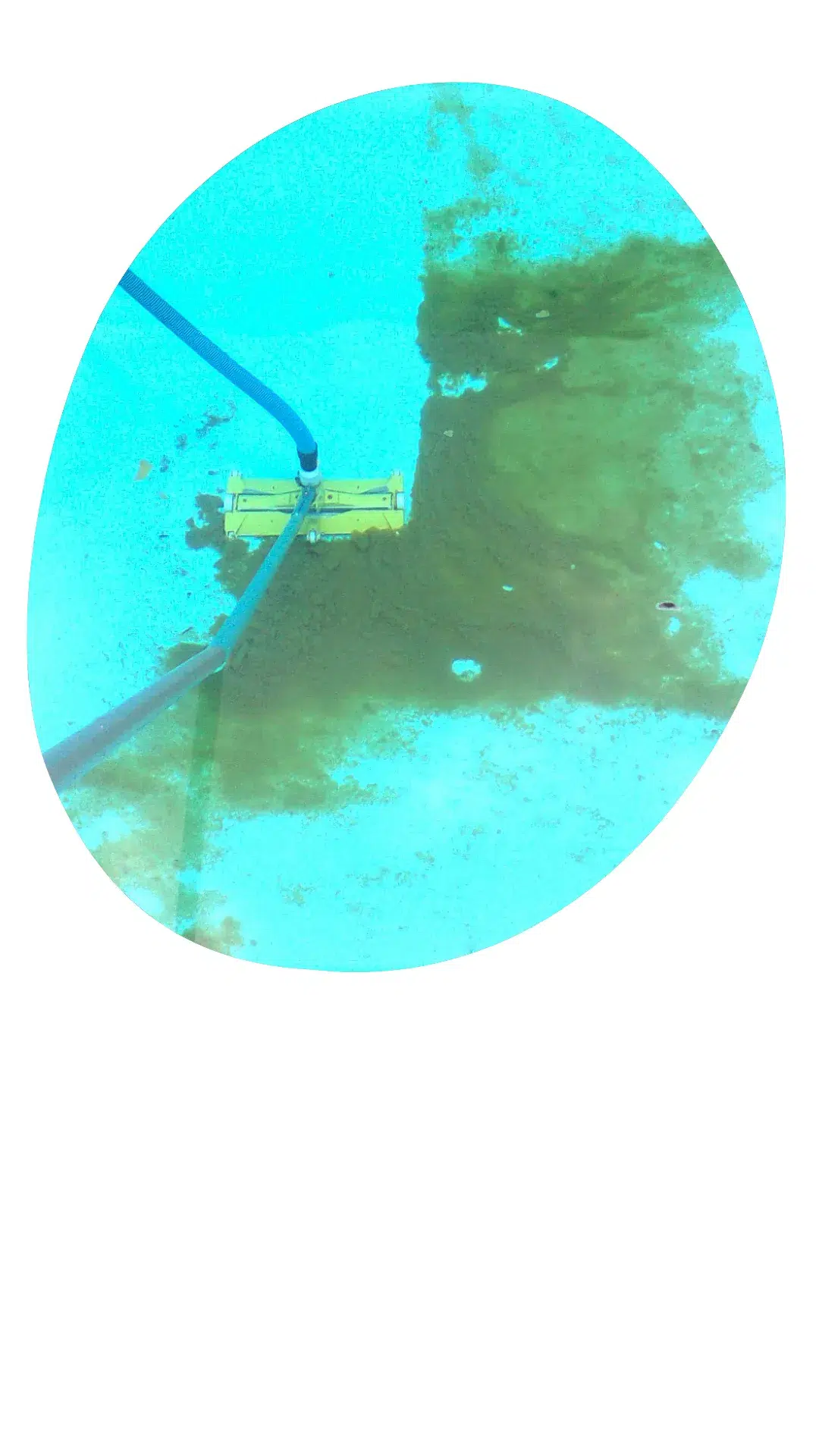 Entretien piscine à Bordeaux
